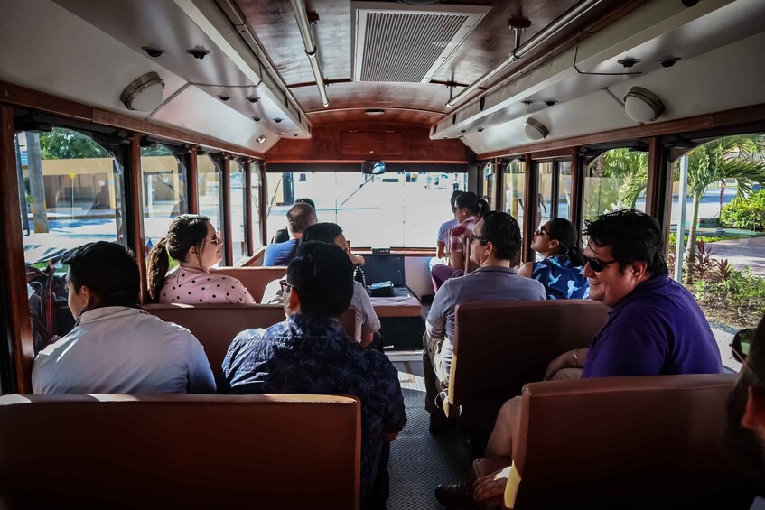 Picture 5 for Activity Cozumel: City Trolley Tour
