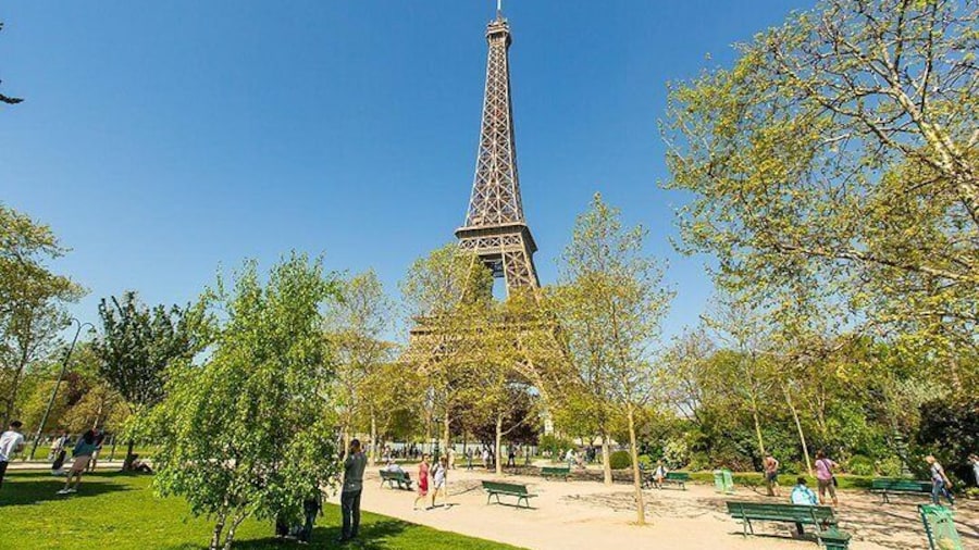 Skip-the-line: Eiffel Tower