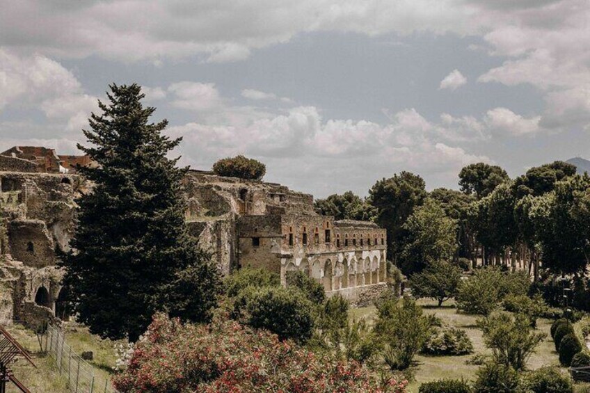 Guided Tour of Pompei and Wine Tasting from Sorrento