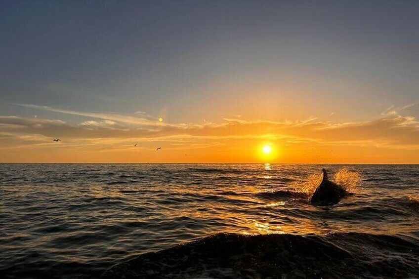 Benagil Sunset Tour