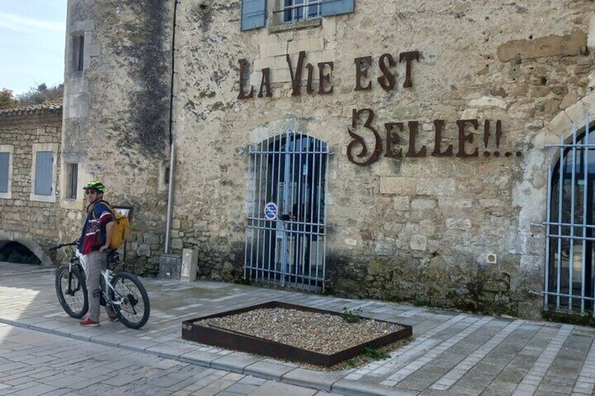 Full Day Ebike Tour in the Luberon Region from Avignon