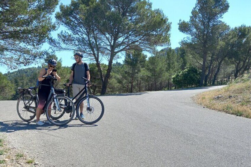 Full Day Ebike Tour in the Luberon Region from Avignon