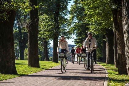 Buenos Aires : Excursion à vélo d'une journée avec déjeuner