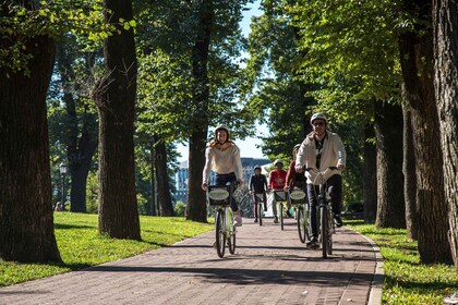 Buenos Aires : Excursion à vélo d'une journée avec déjeuner