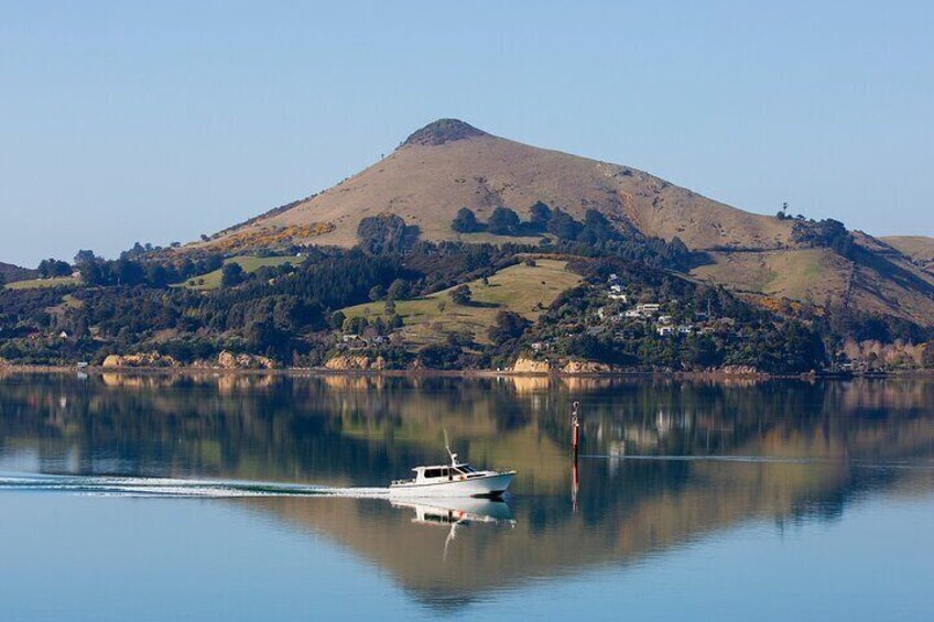 See the beautiful Harbour Cone.