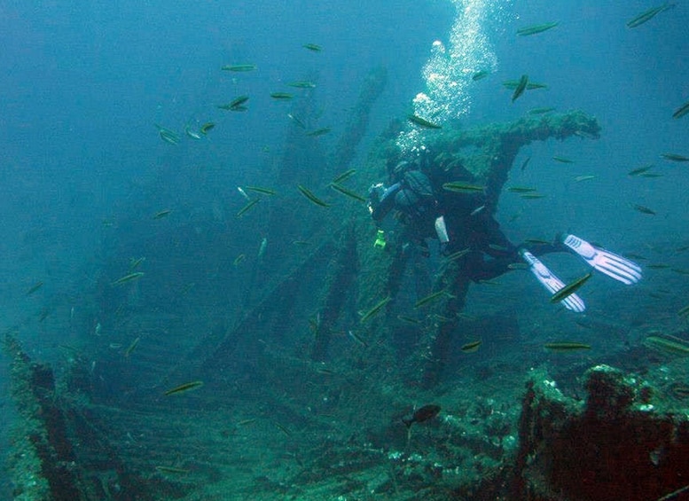 Picture 8 for Activity Athens: Adventure Dives in Nea Makri for Certified Divers