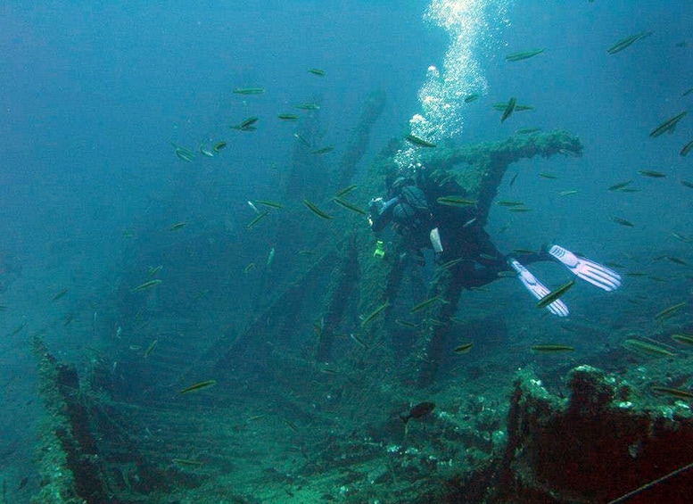 Picture 8 for Activity Athens: Adventure Dives in Nea Makri for Certified Divers