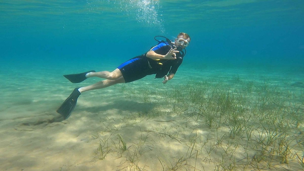 Picture 8 for Activity Athens: Adventure Dives in Nea Makri for Certified Divers