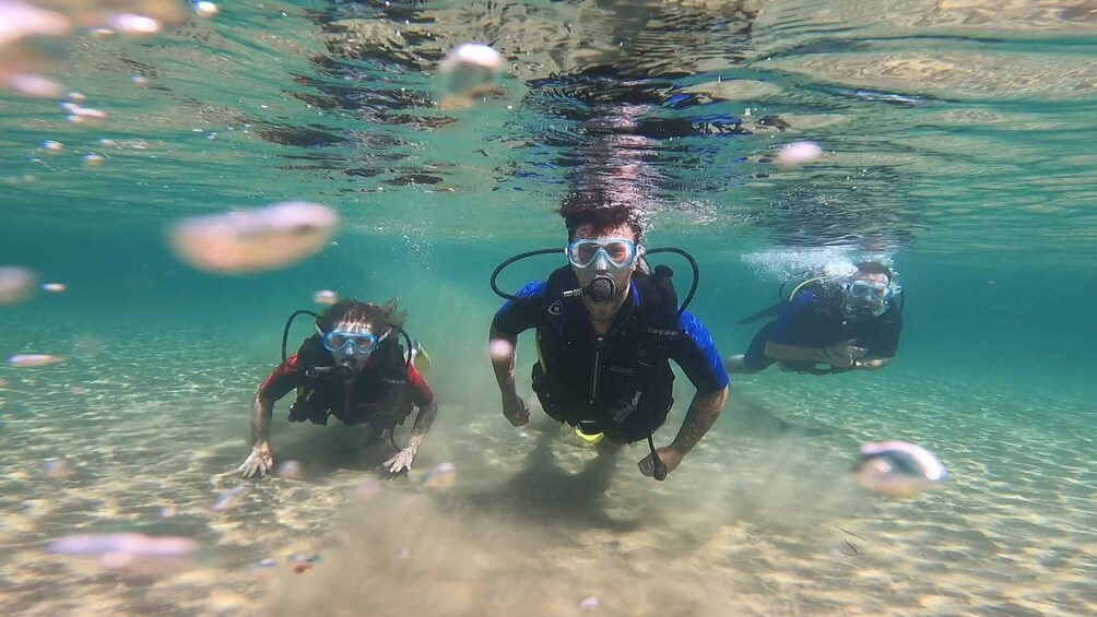 Picture 15 for Activity Athens: Adventure Dives in Nea Makri for Certified Divers