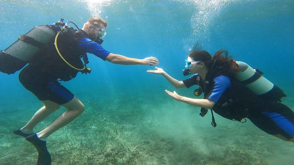 Picture 10 for Activity Athens: Adventure Dives in Nea Makri for Certified Divers