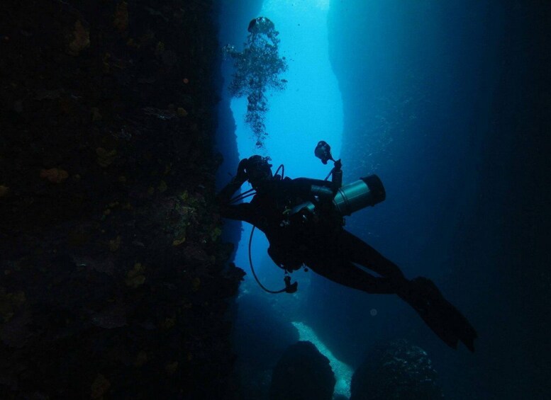 Picture 6 for Activity Athens: Adventure Dives in Nea Makri for Certified Divers