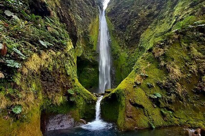 Hike to "Vuelta de Cañón" waterfall at the foot of Poas volcano.