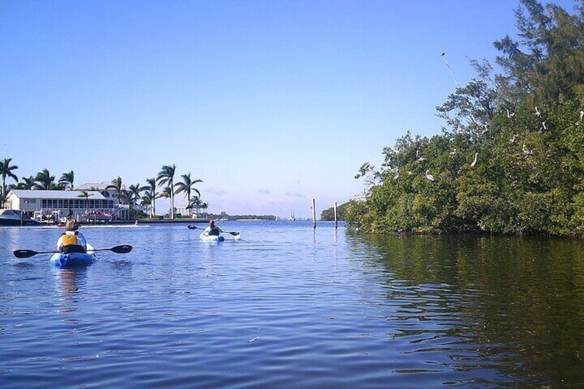 Guided Kayak Sunset Tour in Pelican Bay at Fort Myers Beach