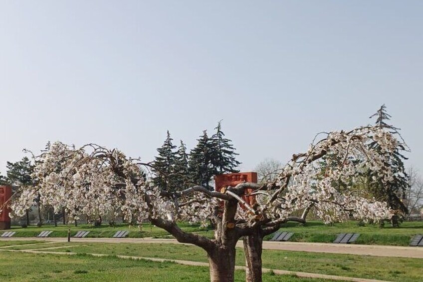 3 Hours Walking Tour of Chisinau with Local Guide