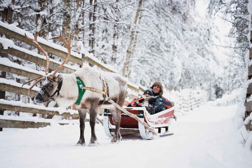 Picture 2 for Activity Rovaniemi: Snowmobile Tour and Reindeer Farm Experience