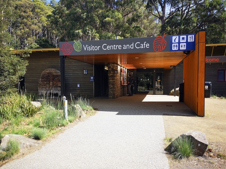 Russell Falls with Mt Field National Park and Salmon Ponds