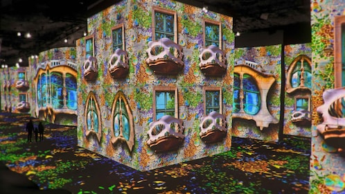 Ab Avignon: Halbtagestour Van Gogh & Carrières de Lumières