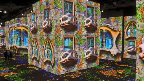 From Avignon: Half-Day Van Gogh & Carrières de Lumières Tour