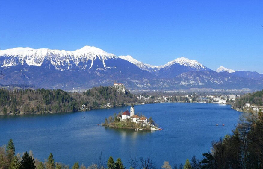 Picture 5 for Activity From Ljubljana: Private Bled Lake Day Trip