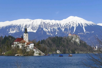 Von Ljubljana aus: Privater Tagesausflug zum Bleder See