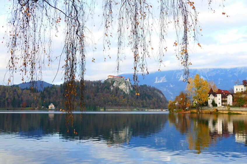Picture 3 for Activity From Ljubljana: Private Bled Lake Day Trip