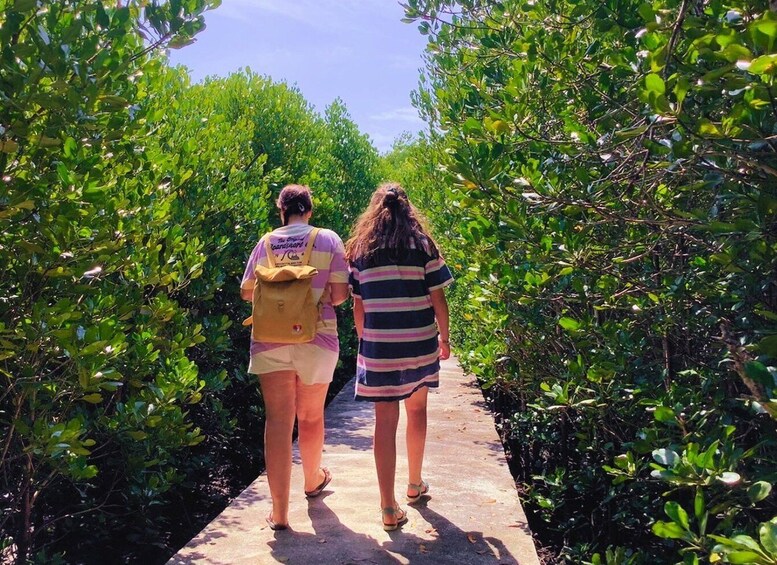 Picture 20 for Activity Ko Lanta: The Mangroves By Private Luxury Gondola