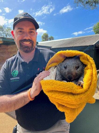 Tasmanian Devils and Richmond Afternoon Tour