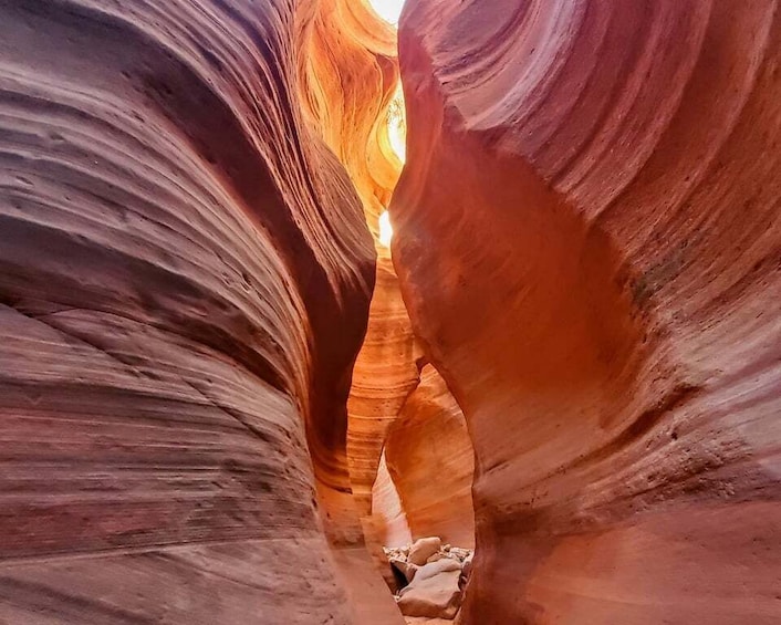 Picture 3 for Activity East Zion: Crimson Slot Canyon Exploration and UTV Tour