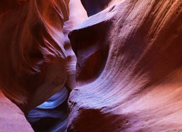 Picture 4 for Activity East Zion: Crimson Slot Canyon Exploration and UTV Tour