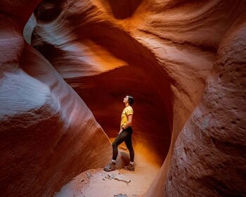 East Zion: Crimson Slot Canyon Exploration og UTV Tour