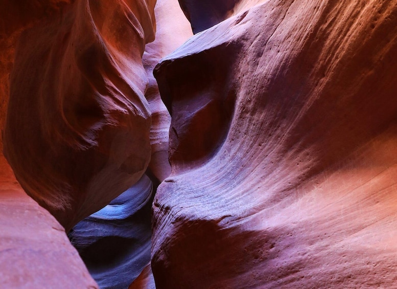 Picture 4 for Activity East Zion: Crimson Slot Canyon Exploration and UTV Tour