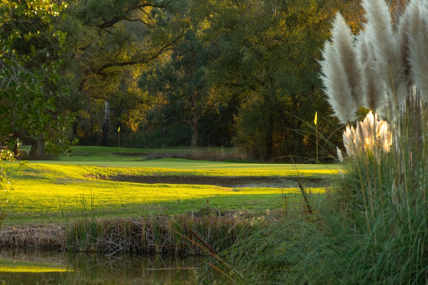 9 Holes Golf Game Experience with lunch and drink