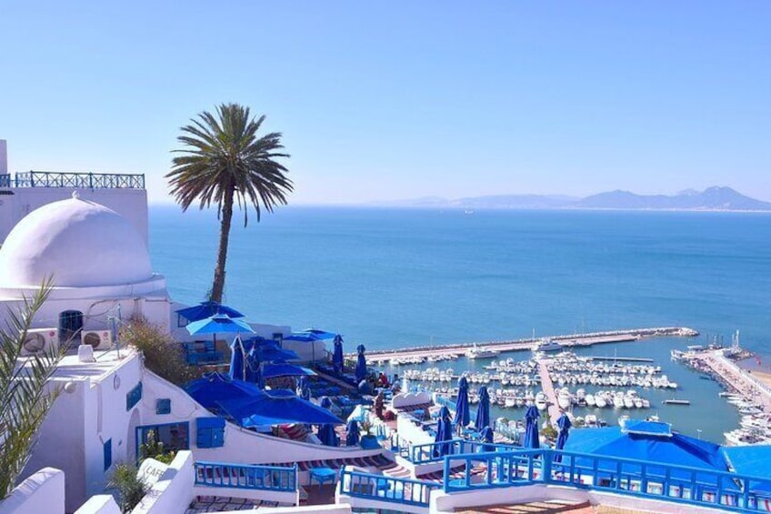 Unveiling the Beauty of Sidi Bou Said and Carthage Private Tour