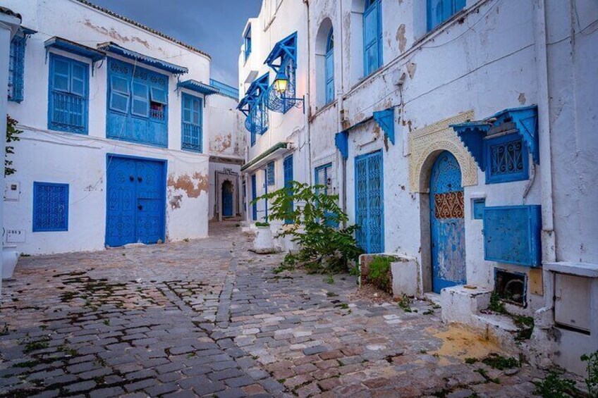 Unveiling the Beauty of Sidi Bou Said and Carthage Private Tour