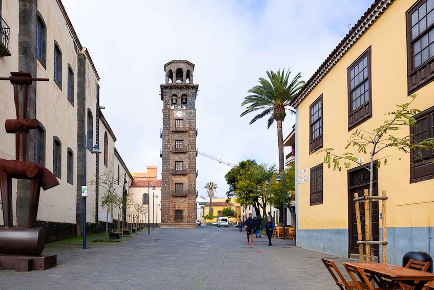 Picture 2 for Activity Tenerife: Full-Day Gastronomy and Wine Tour