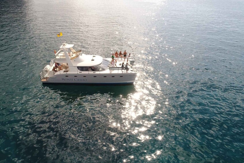 Picture 2 for Activity Tenerife: Marine-Life Tour with Transfer, Buffet and Drinks