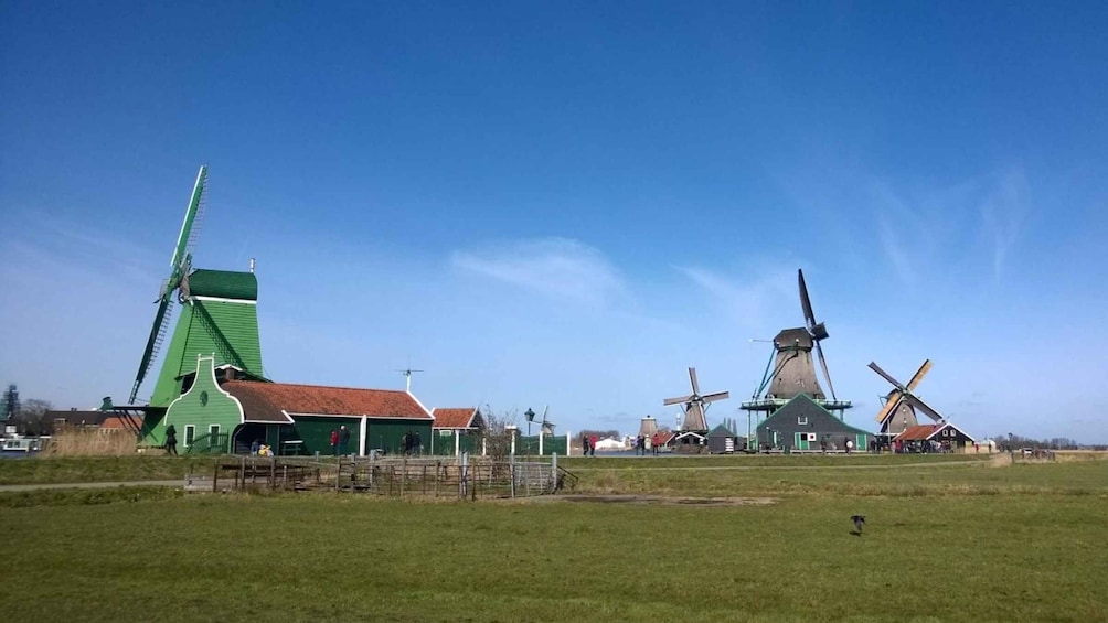 Picture 4 for Activity Amsterdam: Zaanse Schans 3-Hour Small Group Tour