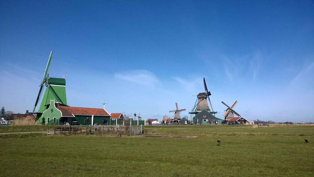 Picture 4 for Activity Amsterdam: Zaanse Schans 3-Hour Small Group Tour