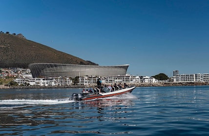 เคปทาวน์: ไกด์ล่องเรือชมสัตว์ป่าทางทะเลและทัวร์ Cape Point
