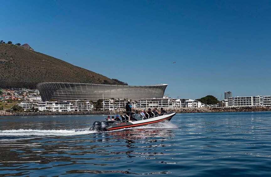 Cape Town: Guided Marine Wildlife Cruise and Cape Point Tour