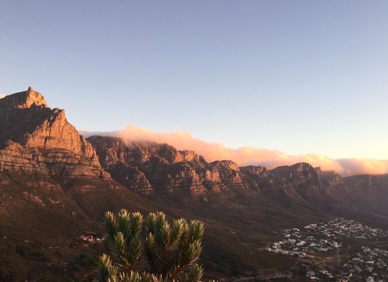 Picture 6 for Activity Cape Town: Guided Marine Wildlife Cruise and Cape Point Tour