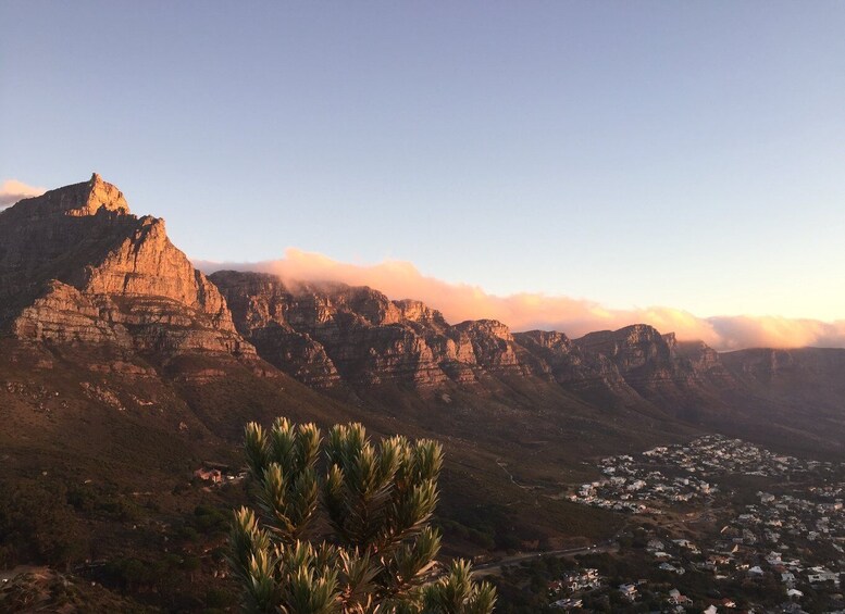 Picture 6 for Activity Cape Town: Guided Marine Wildlife Cruise and Cape Point Tour