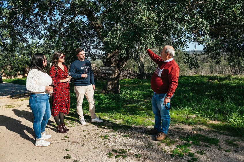 Picture 5 for Activity Loulé: Quinta da Tôr Winery Guided Tour and Wine Tasting