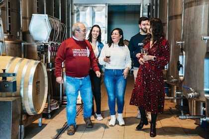 Loulé : Visite guidée et dégustation de vins de la cave Quinta da Tôr