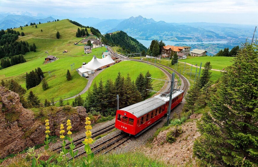 Picture 8 for Activity Private Trip from Zurich to Mount Rigi via Lucerne City