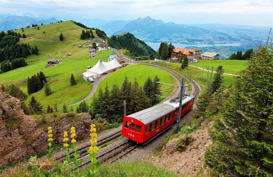 Picture 8 for Activity Private Trip from Zurich to Mount Rigi via Lucerne City
