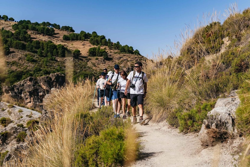 Picture 8 for Activity Granada: Los Cahorros de Monachil Canyon Hiking Tour