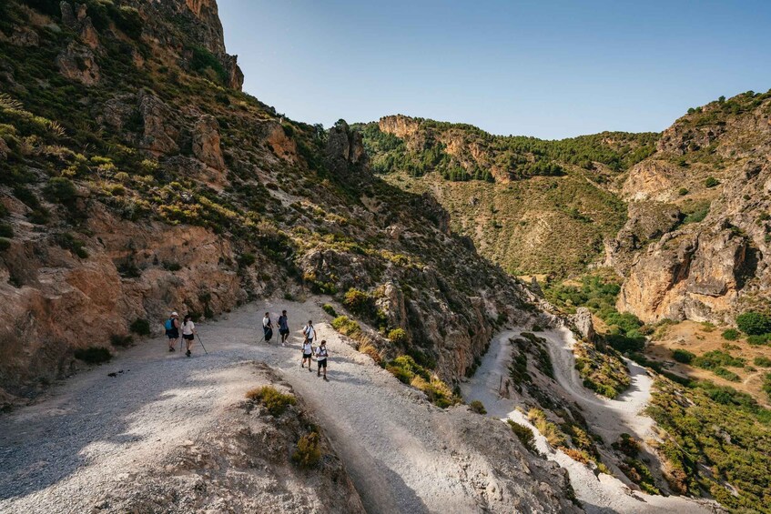 Picture 3 for Activity Granada: Los Cahorros de Monachil Canyon Hiking Tour