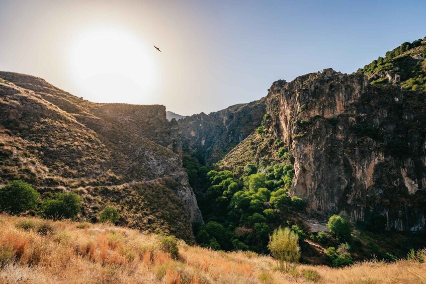 Picture 1 for Activity Granada: Los Cahorros de Monachil Canyon Hiking Tour