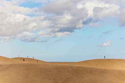 Desde Las Palmas: tour de un día por lo más destacado de Gran Canaria